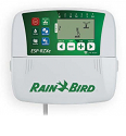 Rainbird