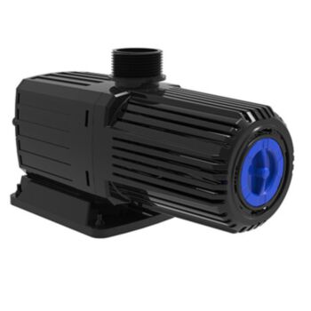 Compact C 2800