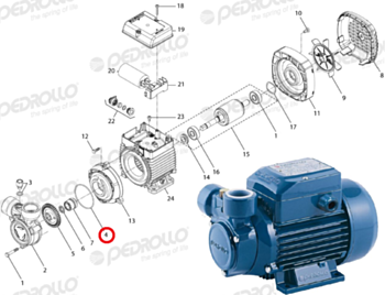 O-ring voor PEDROLLO PQm 60