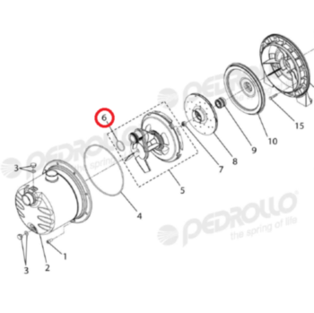 O-ring Pedrollo JCRm