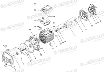 Pedrollo CPm 190 impeller