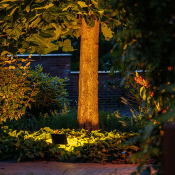 Lightpro Avior (dimbaar)