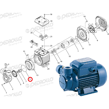 O-ring voor PEDROLLO PQm 60