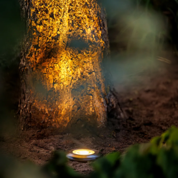 Lightpro Agate
